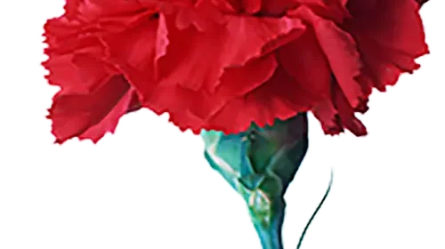 25 de abril