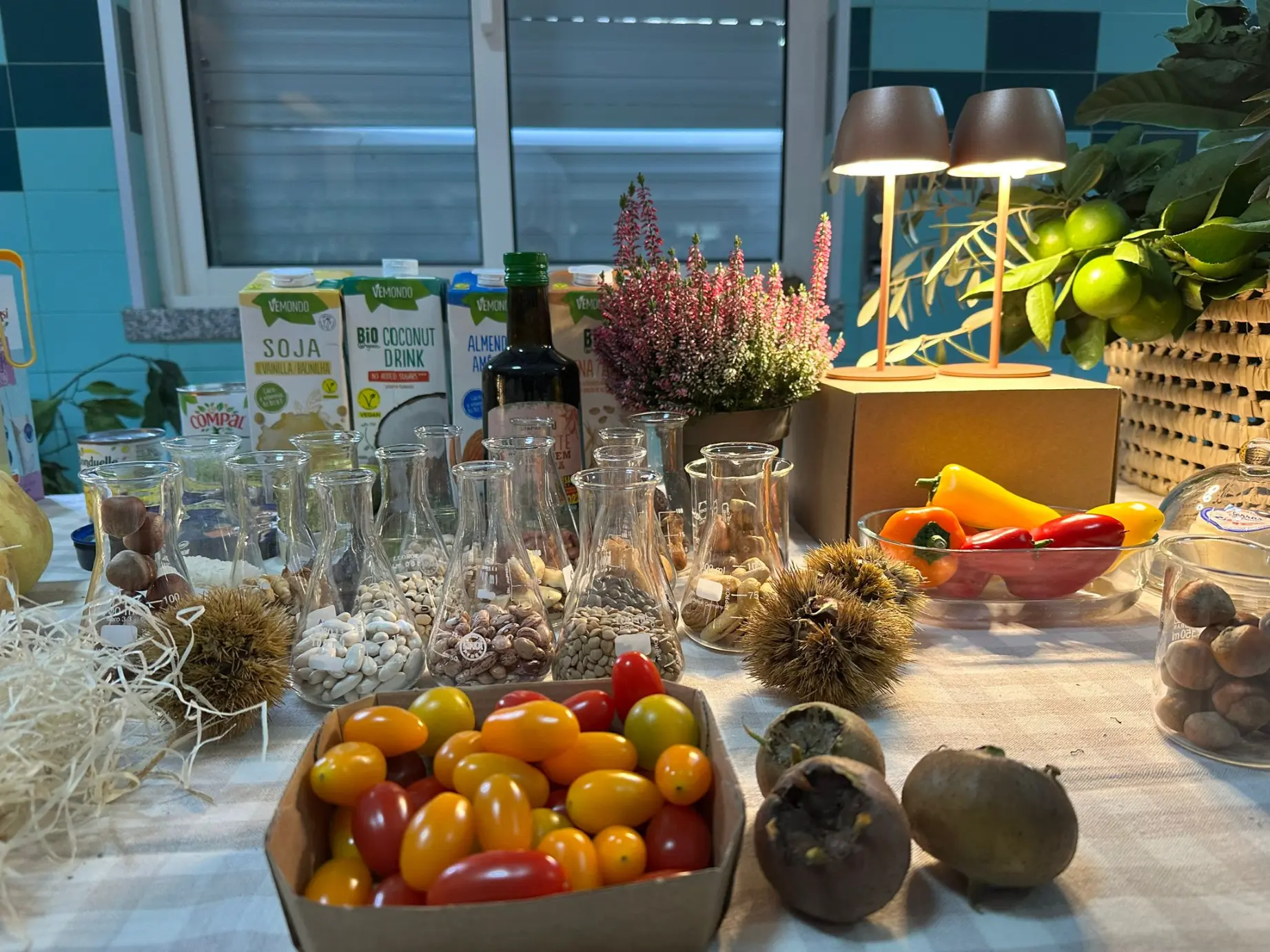 561071268_1326702052586666_3971937669567168505_n