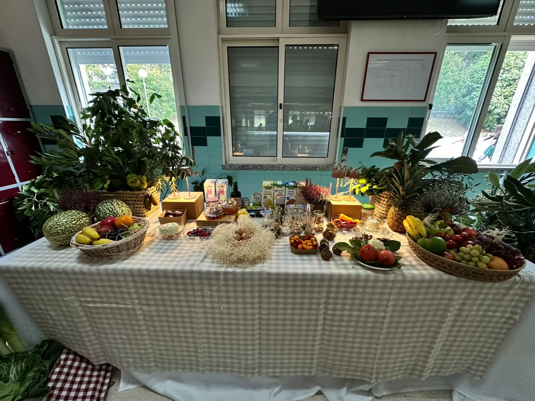 561227908_1326702022586669_7995803696553558987_n