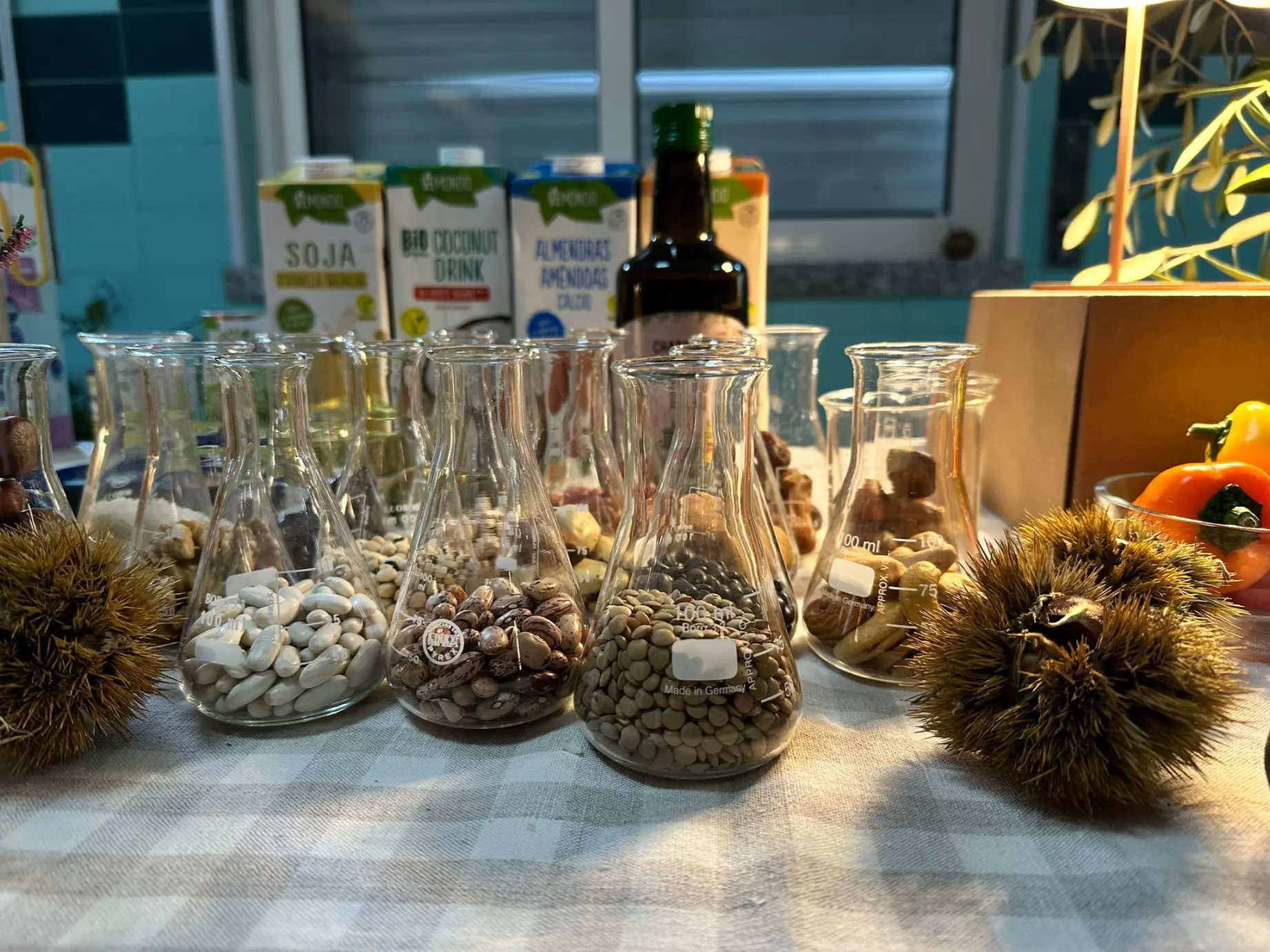 561408340_1326701919253346_5057975942350258257_n