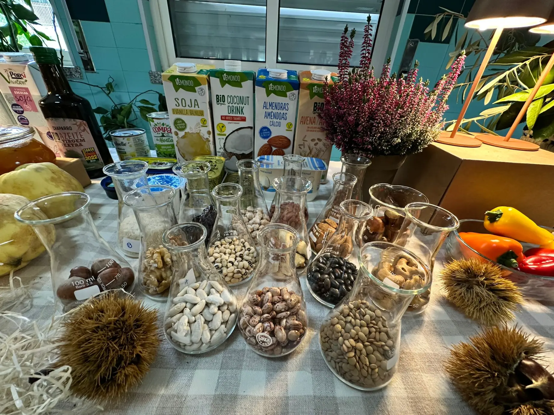 565102011_1326702169253321_1578709246737473145_n