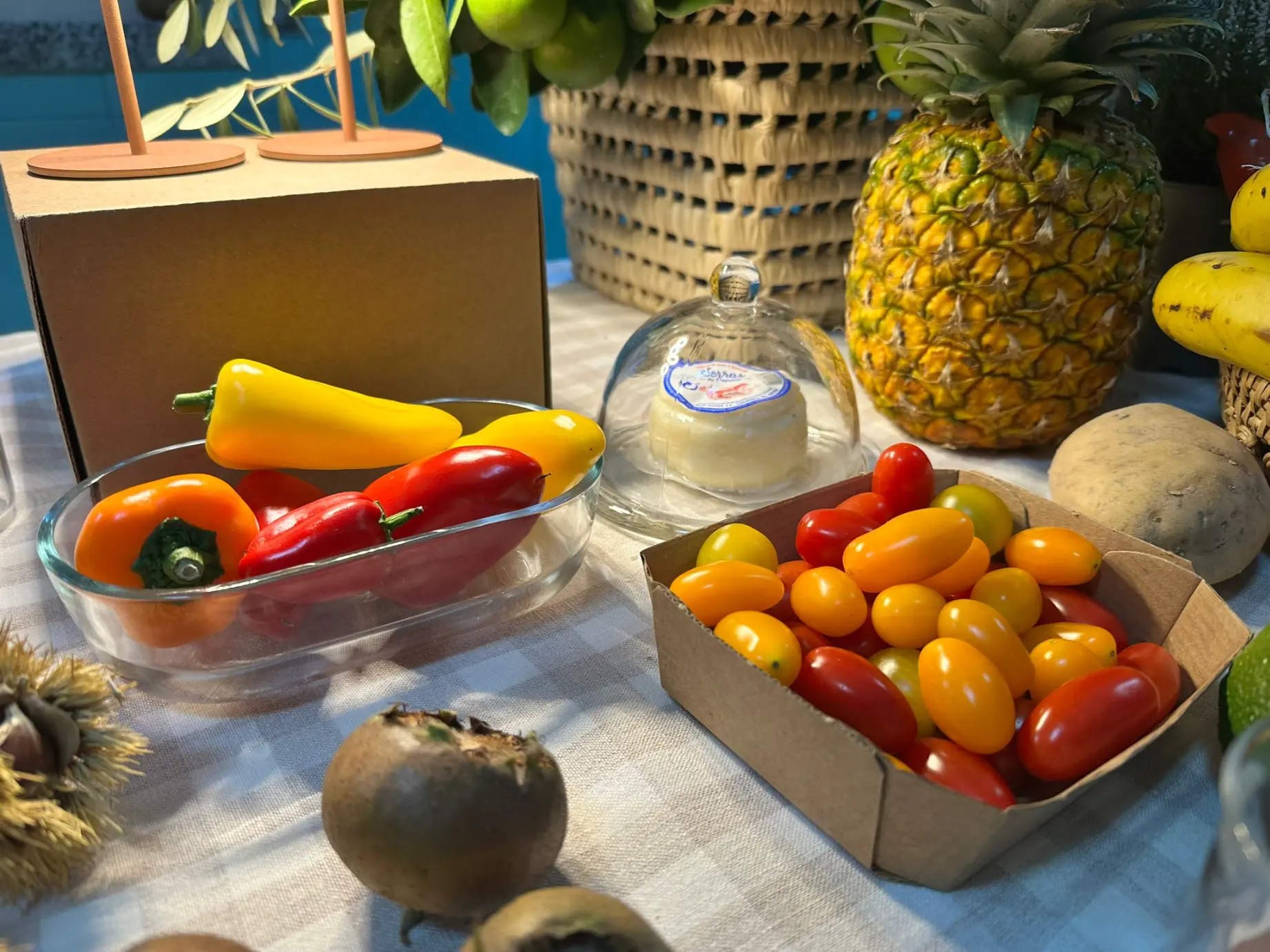 565122025_1326701849253353_1315780478199134072_n