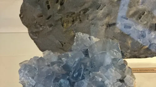 PHOTO-2025-10-07-12-59-47