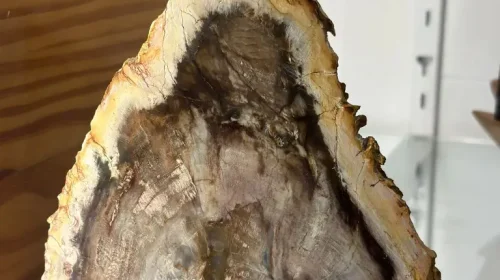 PHOTO-2025-10-07-12-59-50 (1)