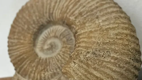 PHOTO-2025-10-07-12-59-50