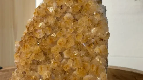 PHOTO-2025-10-07-12-59-51