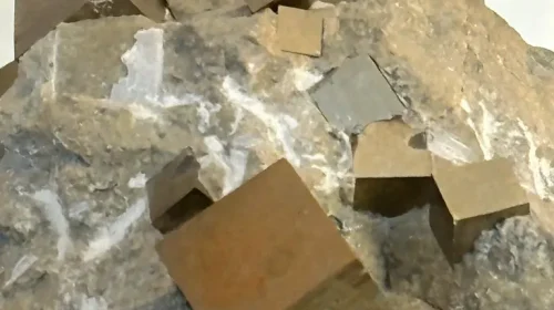 PHOTO-2025-10-07-12-59-52 (2)