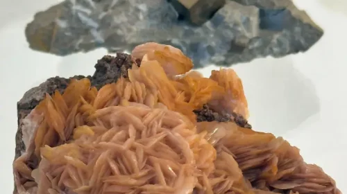 PHOTO-2025-10-07-12-59-52 (3)