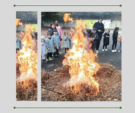 Imagem WhatsApp 2025-11-12 às 11.41.35_58010f92