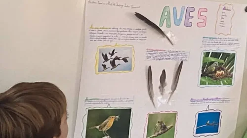 1000083172_gm_optimized