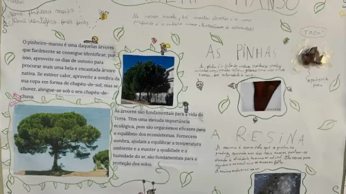 IMG_9154_gm_optimized