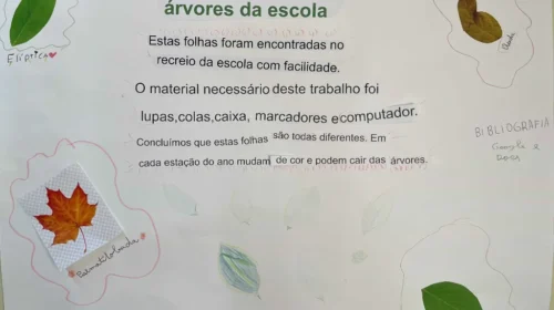 IMG_9155_gm_optimized