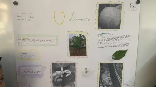 IMG_9237_gm_optimized