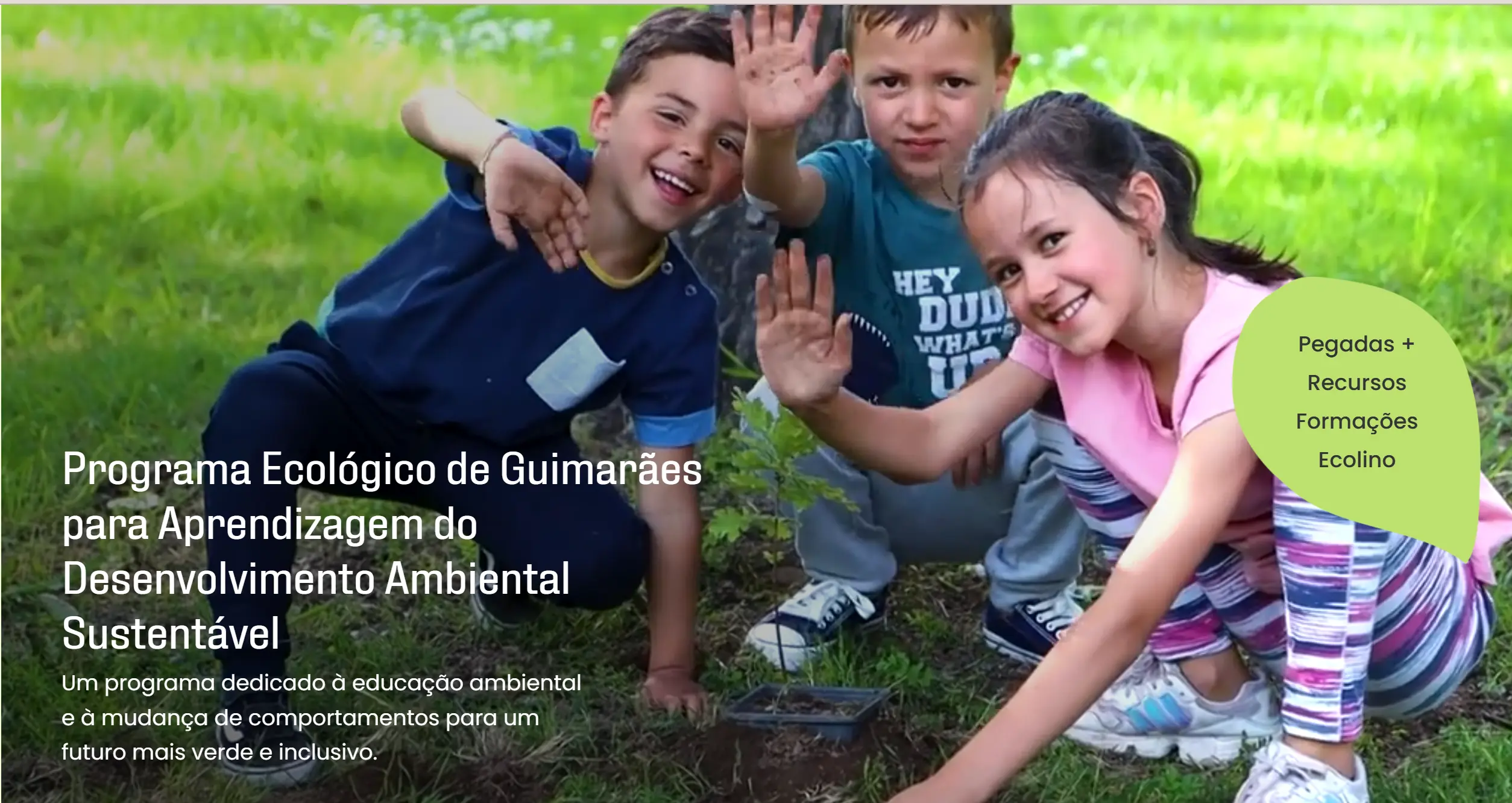 Programa Pegadas